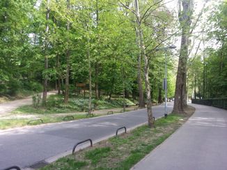 Hrvatski prirodoslovni muzej poziva na sudjelovanje u City Nature Challengeu