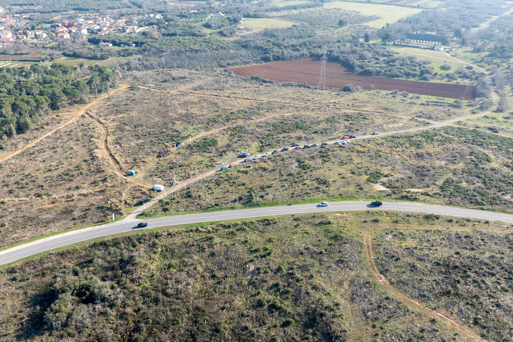 Volonteri posadili 1600 novih stabala na požarištu Valdebečke šume kod Pule