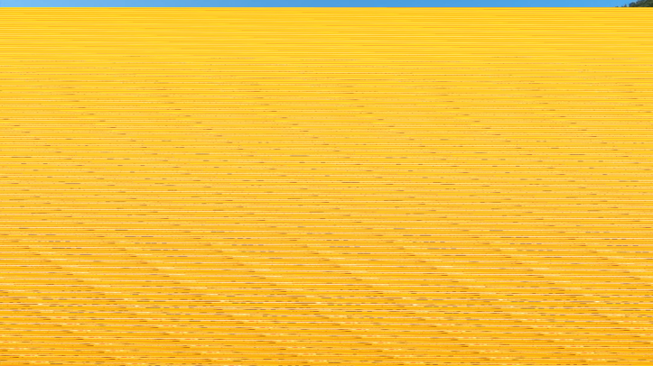 U akciji „More zna, otok pamti“ iz lošinjskog podmorja uklonili dvije tone otpada