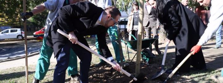 Zagreb započeo novu sezonu sadnje više od 8000 stabala