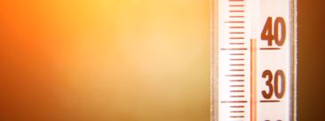 Istraživanje: Velike vrućine štete razvoju djece