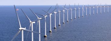 Trumpov rat protiv vjetroelektrana preusmjerava milijarde u Kanadu