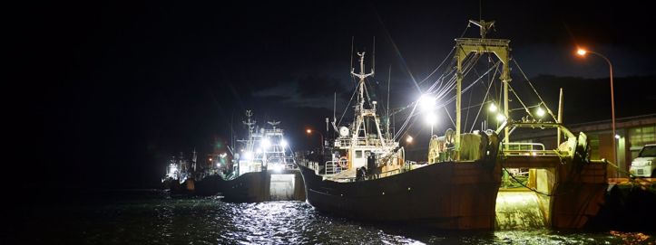 Golema flota lovaca na lignje pustoši južni Atlantik