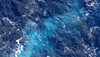 UN-ov sporazum o bioraznolikosti stupio na snagu, cilj zaštita 30 posto oceana do 2030.