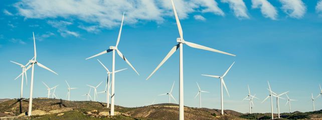 Radojčić: Planirane vjetroelektrane u Gračacu prijete prirodi i lokalnoj zajednici