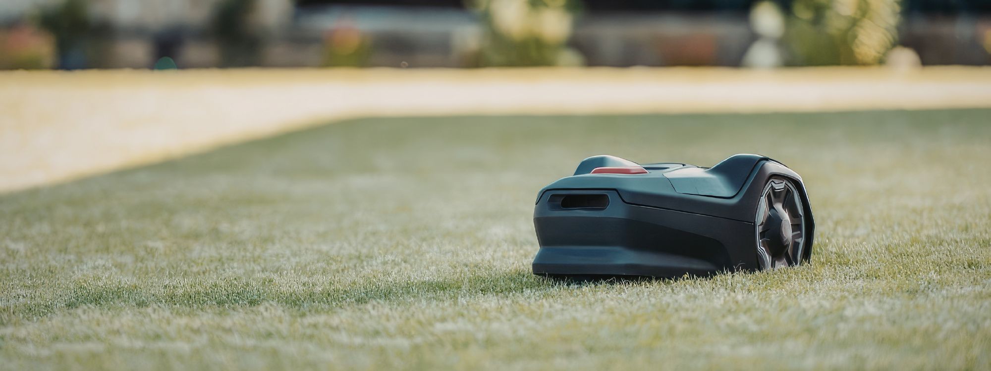 Zbog ježeva: Njemački političari traže zabranu robotskih kosilica noću