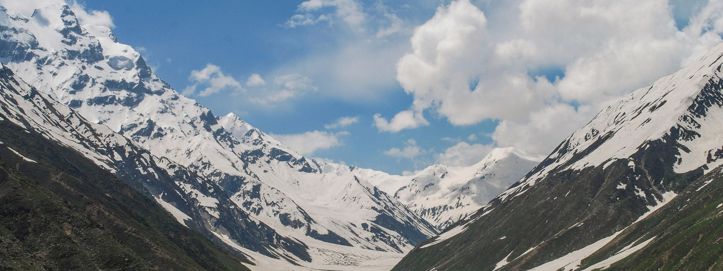 Biljke osvajaju Himalaju: Vegetacija se penje sve više zbog klimatskih promjena