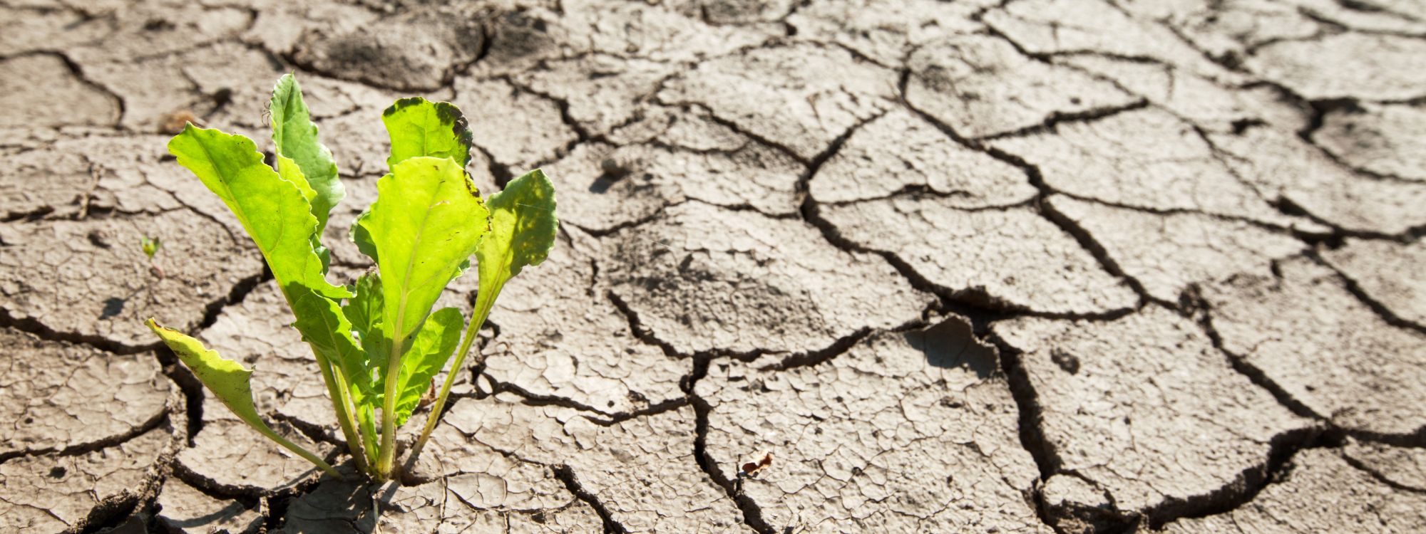 Najvažniji klimatski znanstvenik: Čovječanstvo je već promašilo svoj najveći klimatski cilj