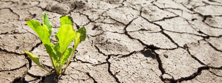 Zapadni Balkan treba uložiti milijarde eura zbog klimatskih promjena