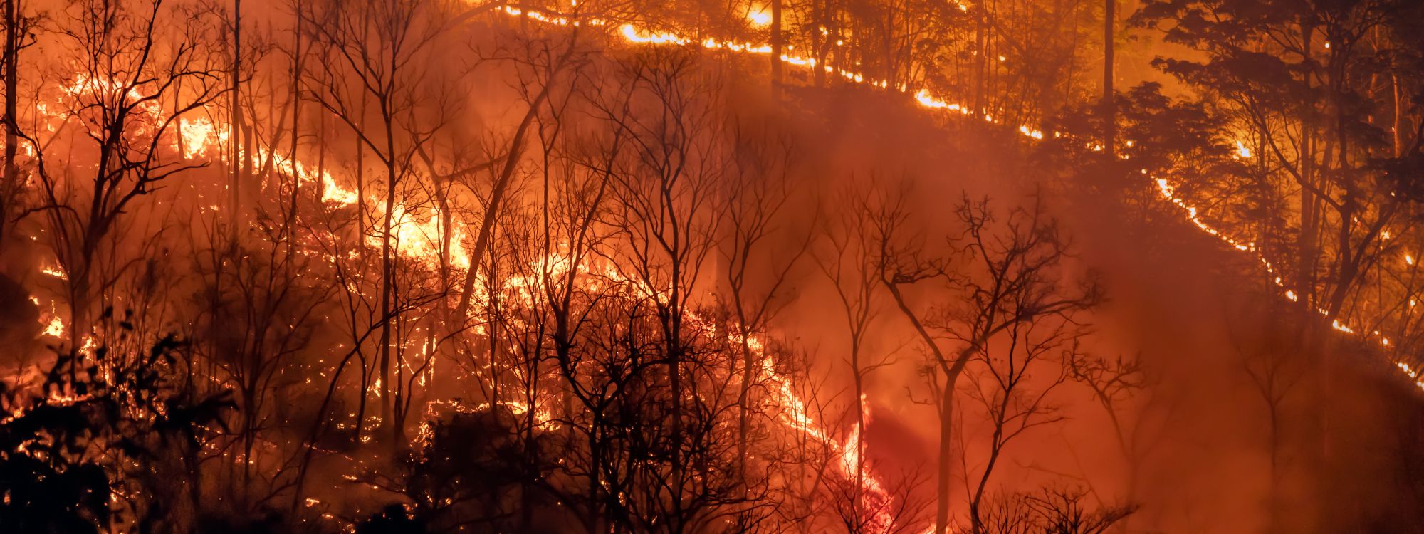 Prognoza: Gospodarski rast mogao bi pasti za 50 posto tijekom 20 godina zbog klimatskih šokova