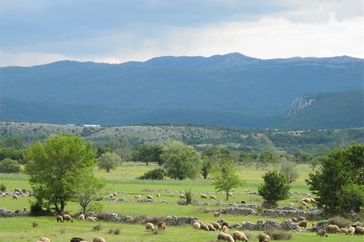 Hrvatska prepolovila emisije onečišćujućih tvari od 1990. godine