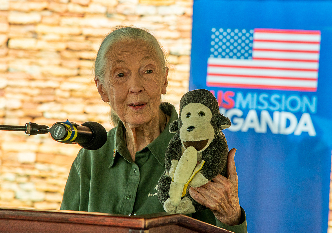 Preminula Jane Goodall, šaptačica čimpanzama