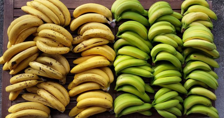 Banane u opasnosti zbog klimatskih promjena