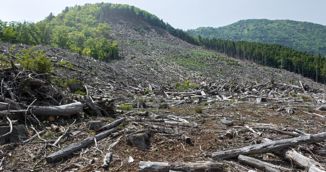  Kako je krčenje šuma ubrzalo stravične poplave u Indoneziji