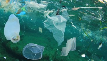 Japanci razvili plastiku koja se otapa u vodi u par sati
