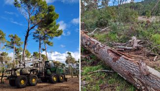 Djelomično zatvaranje Park šume Marjan zbog sanacije stabala