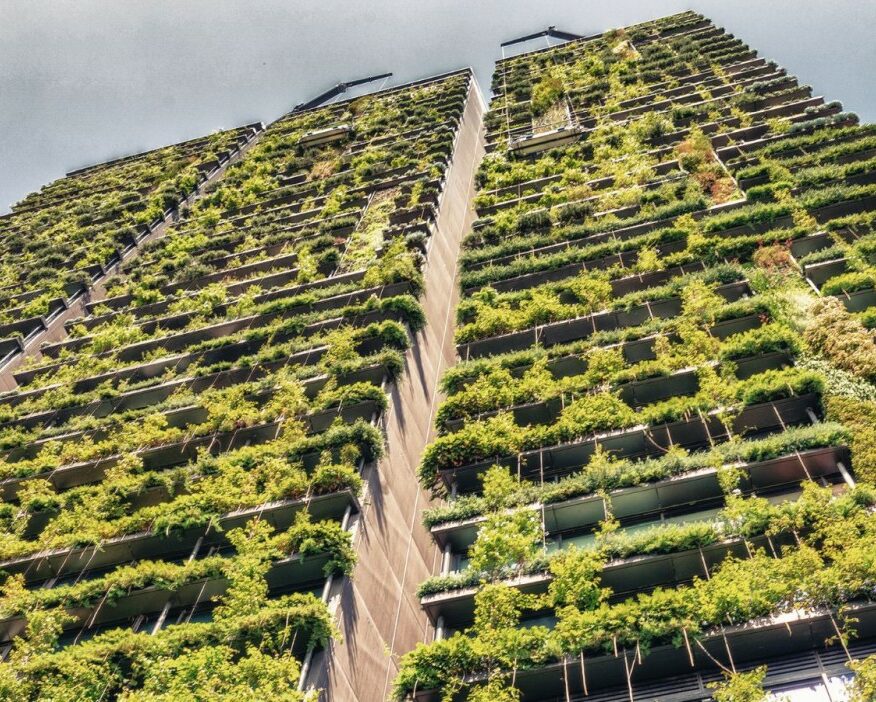 Biljke koje rastu na zidovima Plodovi moderne arhitekture