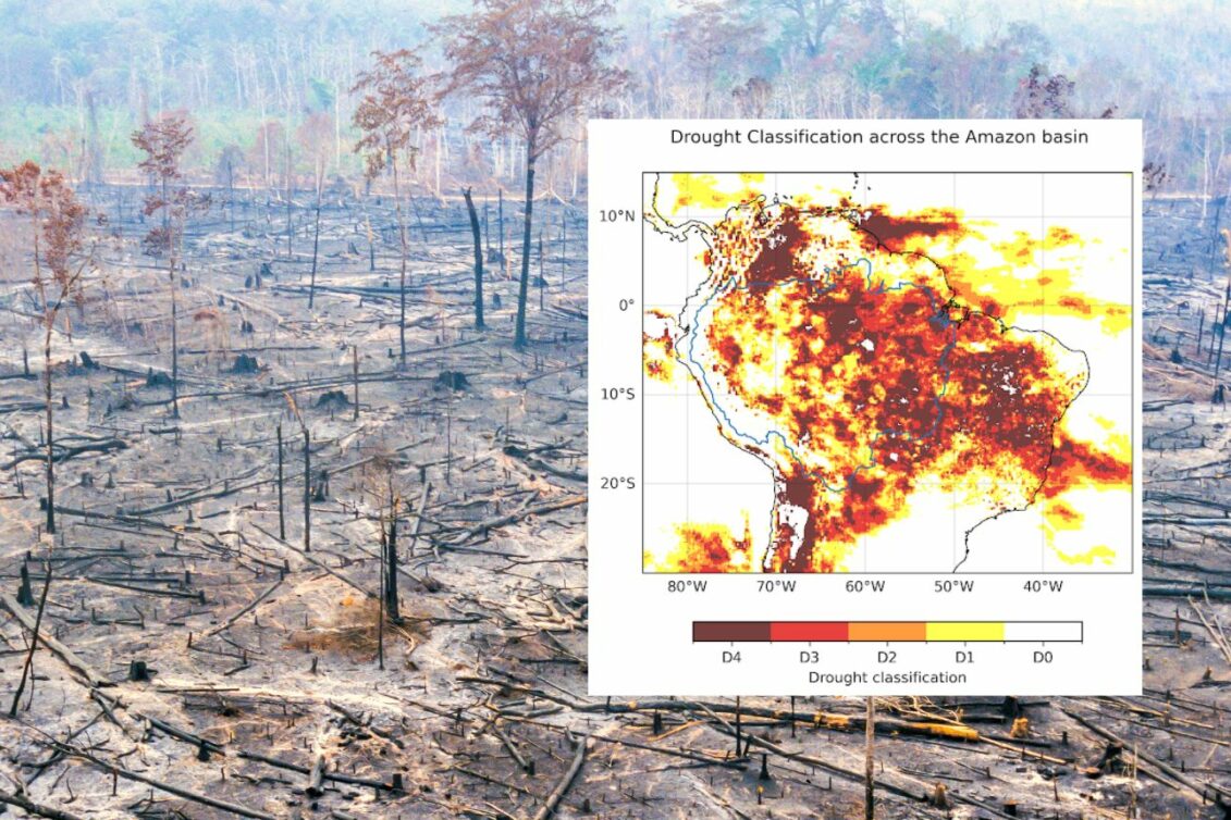 Klimatske promjene glavni uzročnik rekordne suše u Amazoniji