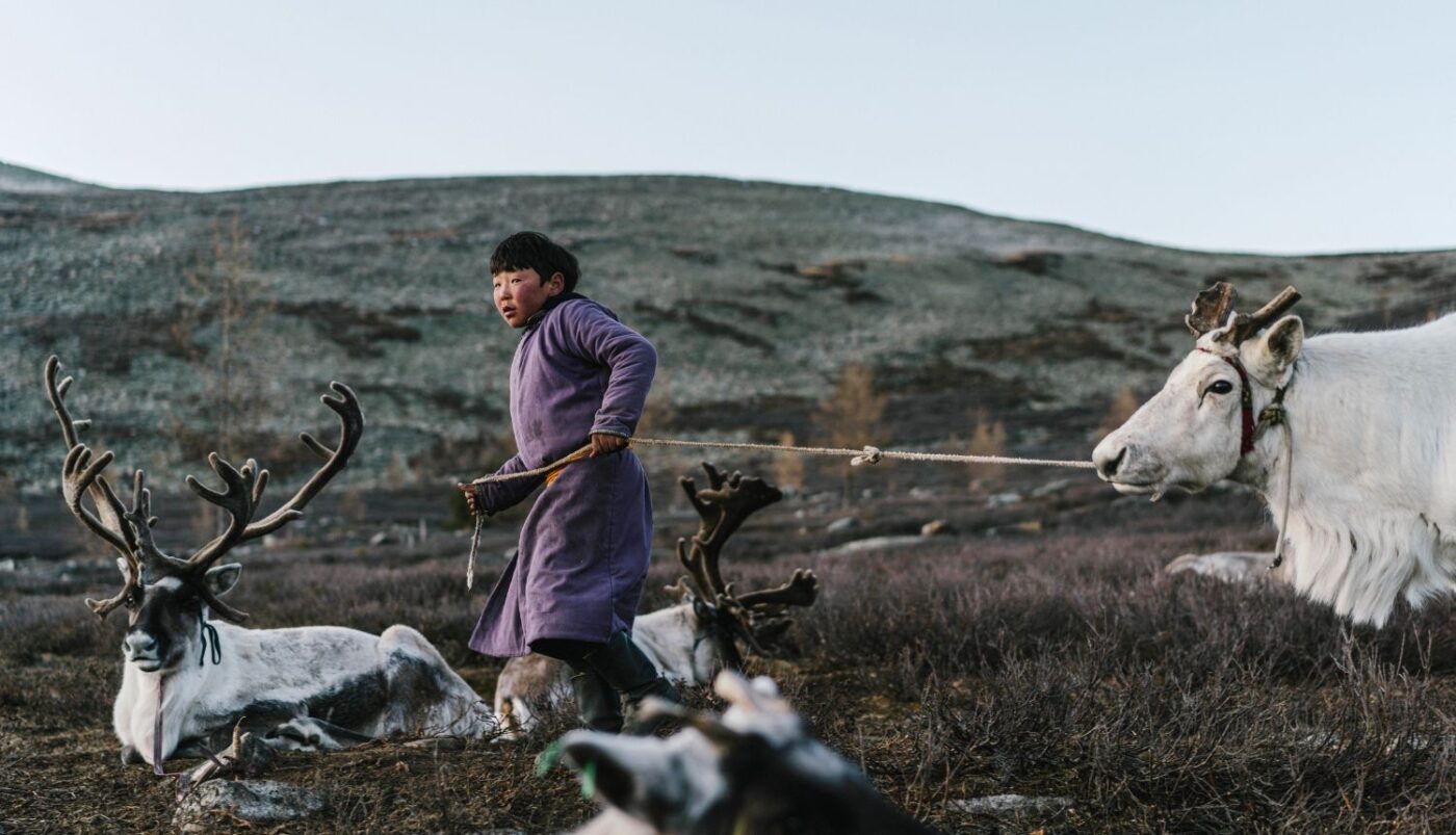 Zbog jako hladne zime u Mongoliji uginulo dva milijuna životinja