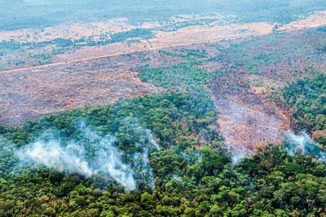 Amazonija zadnjih 20 godina nije imala toliko požara