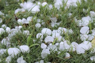 Poljoprivrednici na udaru klimatskih promjena, kako se prilagoditi