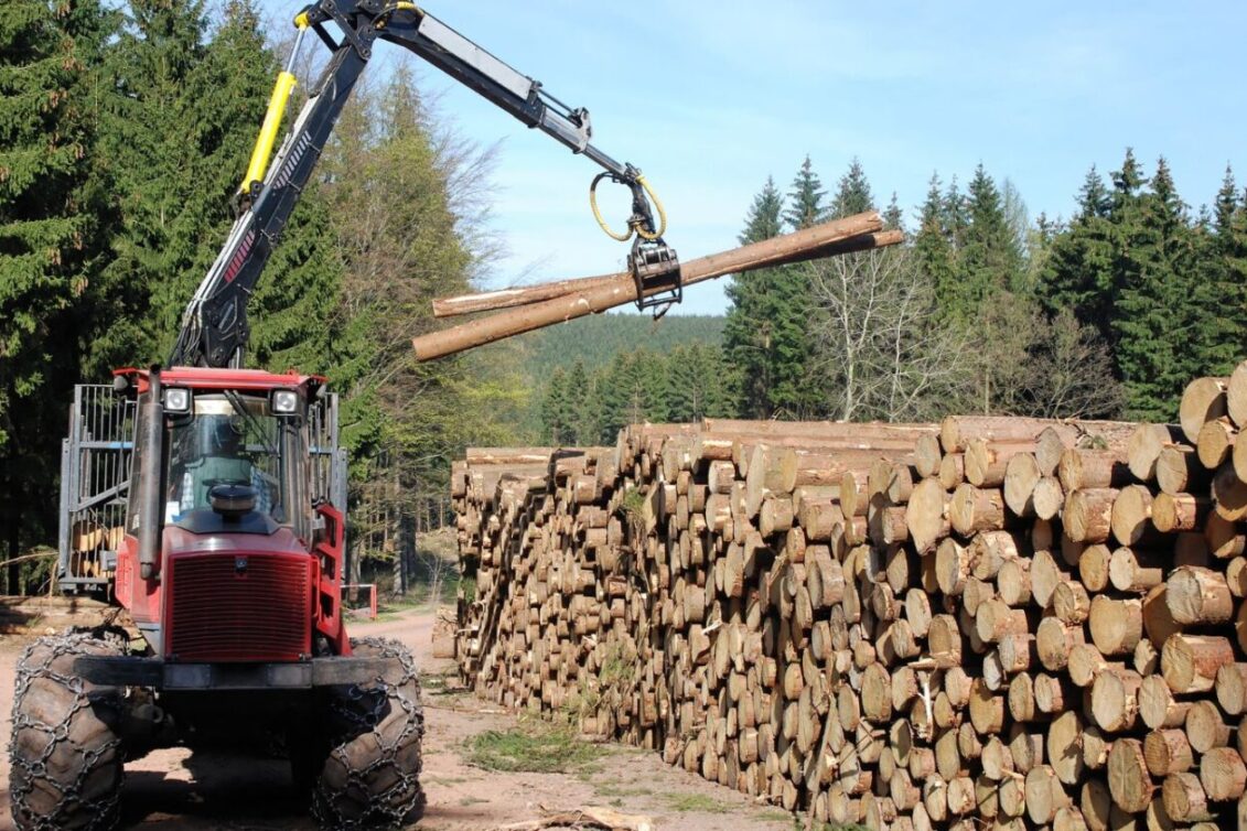 Sve veće negativne posljedice klimatskih promjena na šumarstvo i drvnu industriju