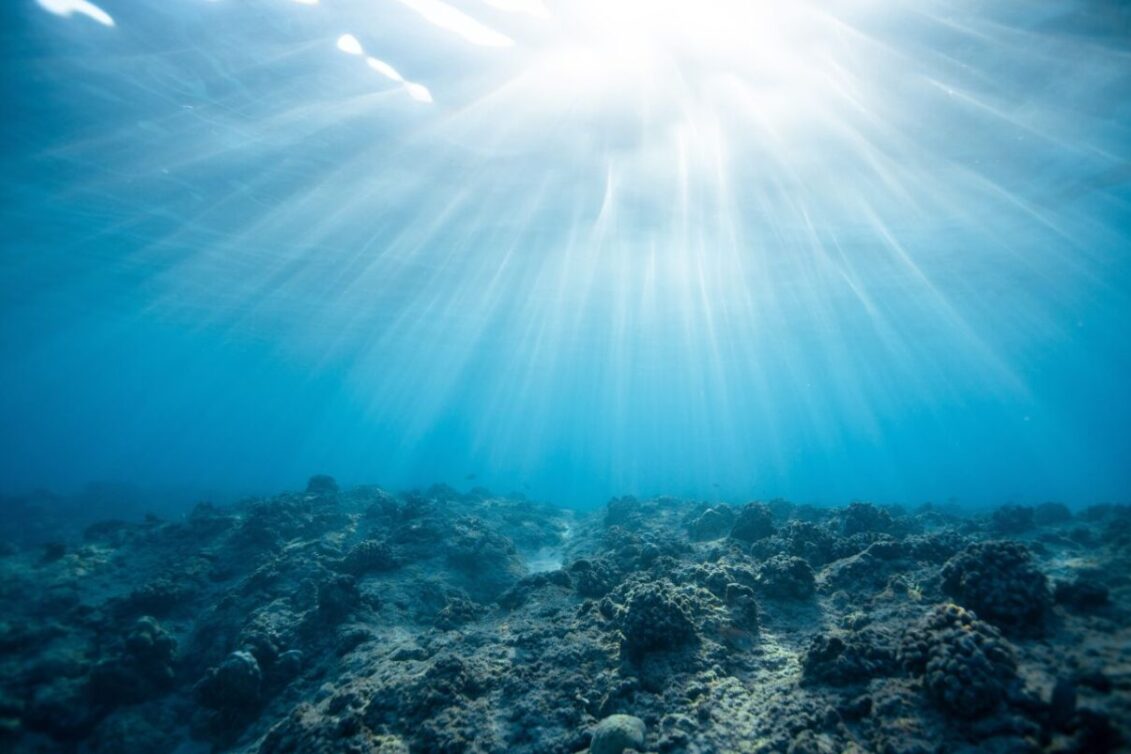 Oceani su suočeni s “trostrukom prijetnjom” ekstremne vrućine, gubitka kisika i zakiseljavanja