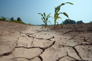 Hrvati među najinformiranijima o klimatskim promjenama