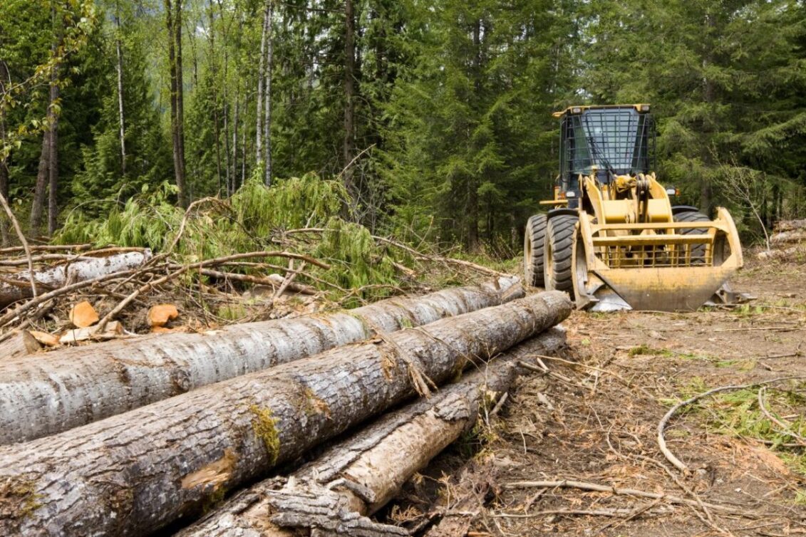 Wood Mackenzie: Rast solarne industrije će se stabilizirati, ona postaje ‘zrela industrija’