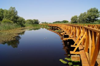 Svjetski je dan vlažnih staništa, tema je “Vlažna staništa i dobrobit ljudi”