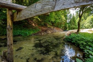 Dunavske pastrve opet zaplivale Bijelom rijekom