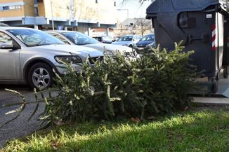 Kako ukloniti božićno drvce iz stana bez da napravite nered i gdje ga odložiti?