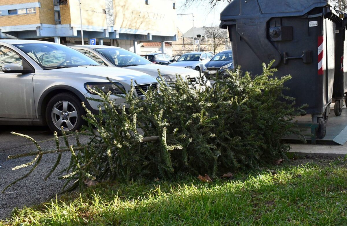 Kako ukloniti božićno drvce iz stana bez da napravite nered i gdje ga odložiti?