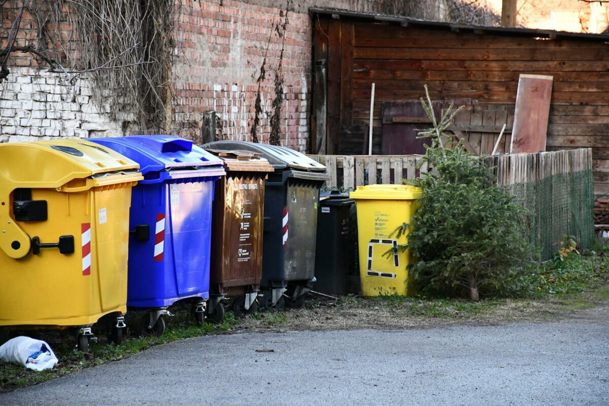 Kako ukloniti božićno drvce iz stana bez da napravite nered i gdje ga odložiti?