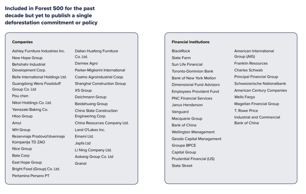 Čak 500 najvećih tvrtki i dalje ne odgovara za deforestaciju