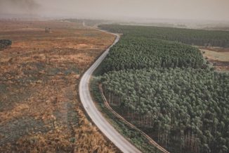 Požari, deforestacija, vrućine prijete Amazoni: ‘Vrijeme je za crveni alarm’