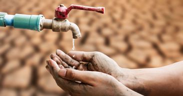 Globalna glad treću godinu zaredom u padu, prijete klimatski i trgovinski rizici