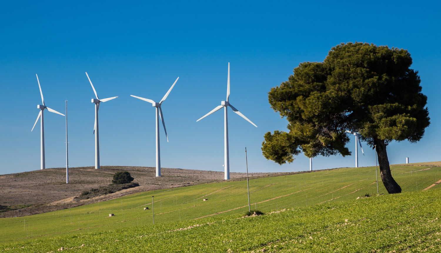 Energija vjetra: Sedam ključnih trendova koje treba pratiti u 2026. godini