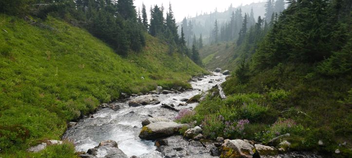 Od 'izvora do slavine', Hrvatska i dalje gubi polovicu vode