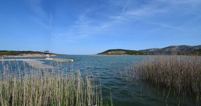 Mladi Hrvati iz iseljeništva mogu se prijaviti za ekološki progam u Biogradu